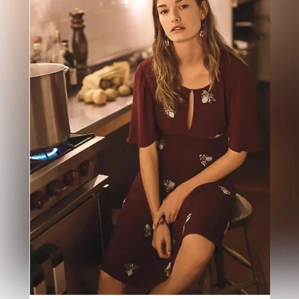 ! Anthropologie Moulinette Soeurs Burgundy Wine Beaded Firefly Dress sz 4